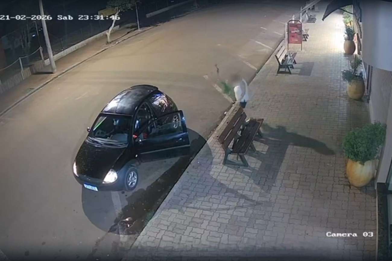 Mulher é flagrada furtando muda de planta na calçada de comércio, em Tapejara