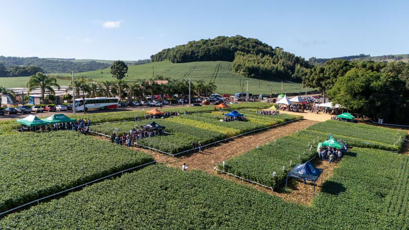 Dia de Campo Coasa reúne cooperados(as) para troca de informações técnicas, de mercado e da produção sustentável