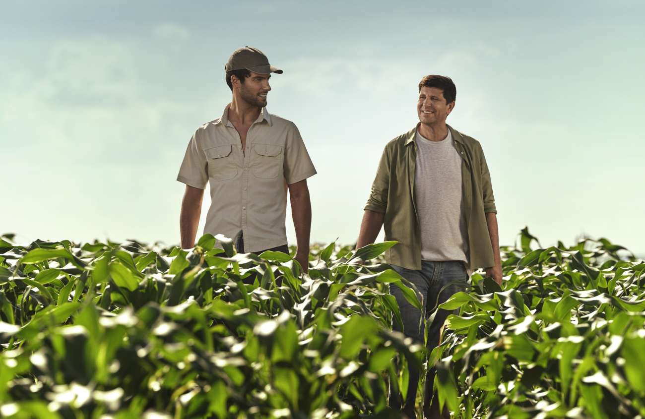 Sicredi é líder nas liberações de crédito rural no RS