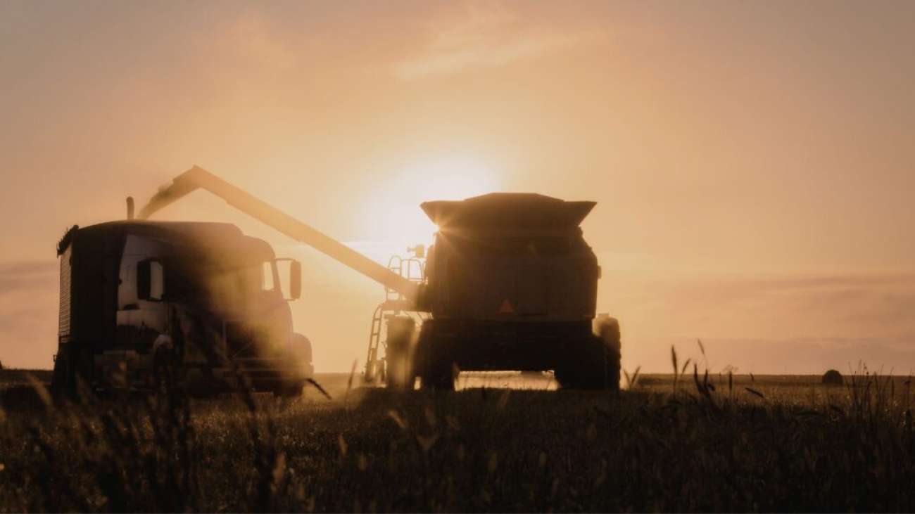 Colheita da soja inicia em nossa região