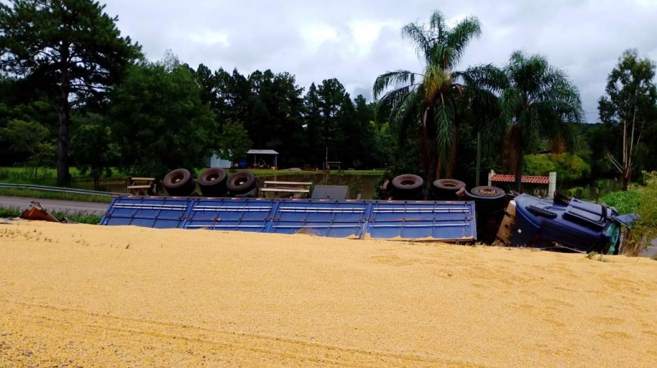 Caminhão tomba e carga de milho fica espalhada no trecho Passo Fundo/Marau