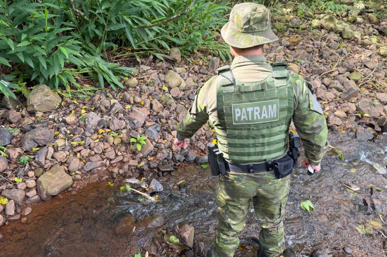 Vazamento de dejetos suínos provoca morte de peixes em rio de Seberi