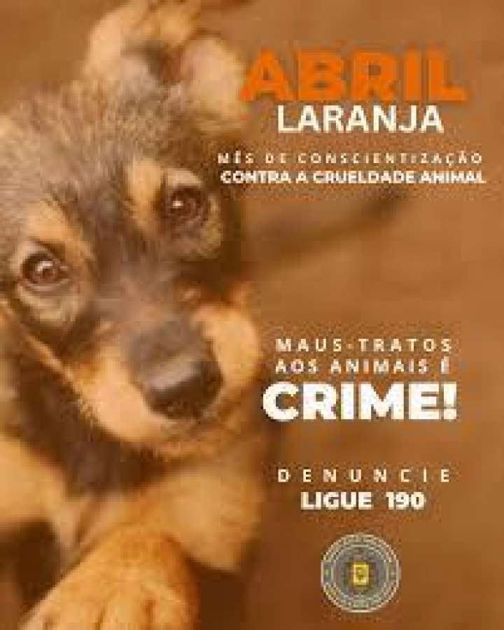 Abril Laranja reforça combate aos maus-tratos contra animais no RS