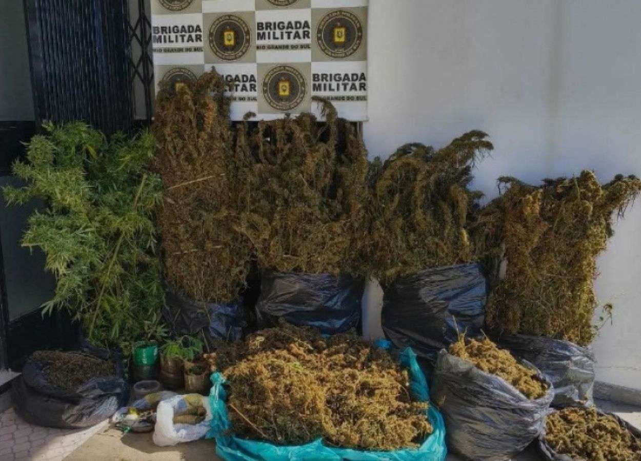 Homem flagrado com mais de 30 quilos de cannabis é preso por tráfico de drogas em Maximiliano de Almeida