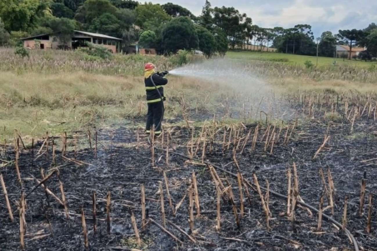 Princípio de incêndio atinge lavoura no interior de São José do Ouro