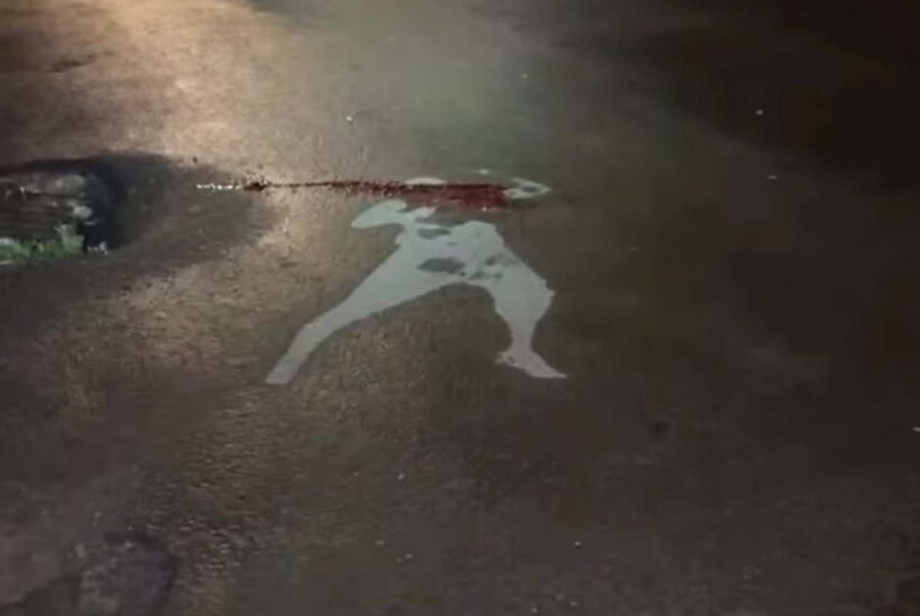 Tentativa de execução: homem é baleado durante a madrugada em bairro de Passo Fundo