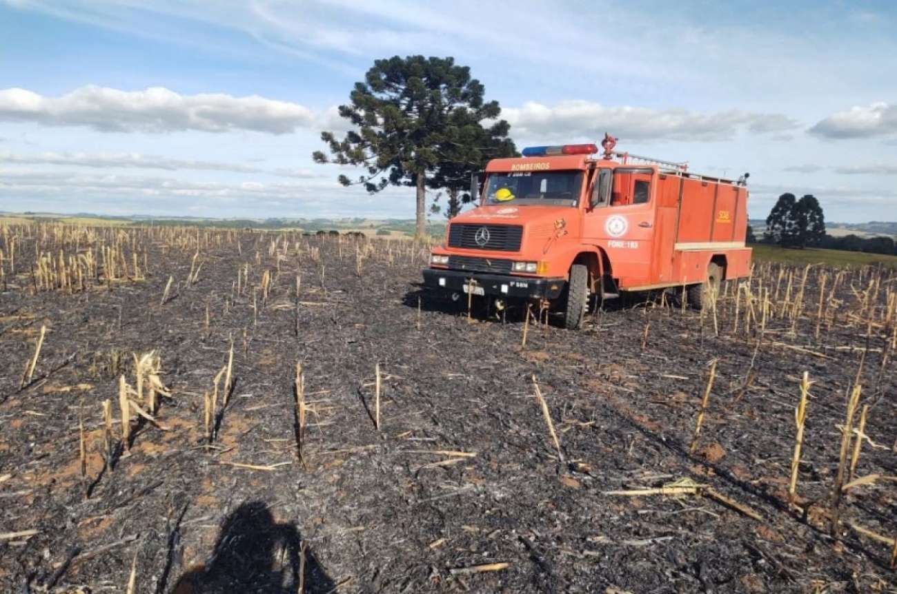 Incêndio atinge lavoura e destrói cerca de 15 hectares de plantação de milho em Muitos Capões