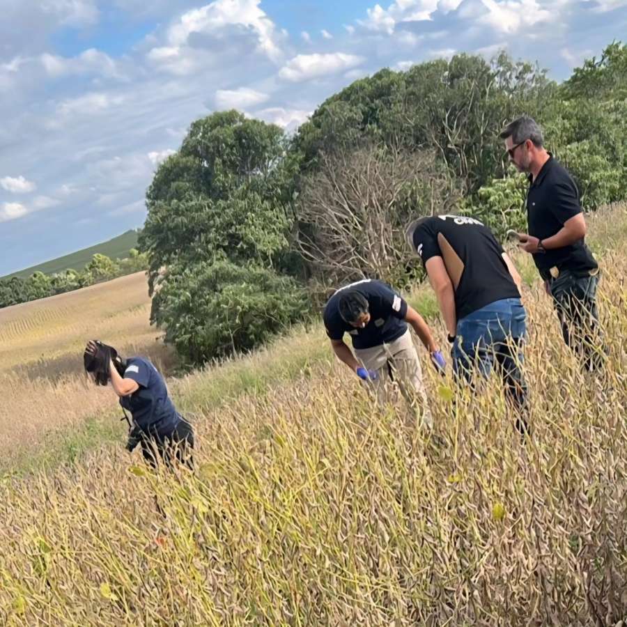Polícia Civil identifica vítima de execução encontrada em lavoura em Passo Fundo
