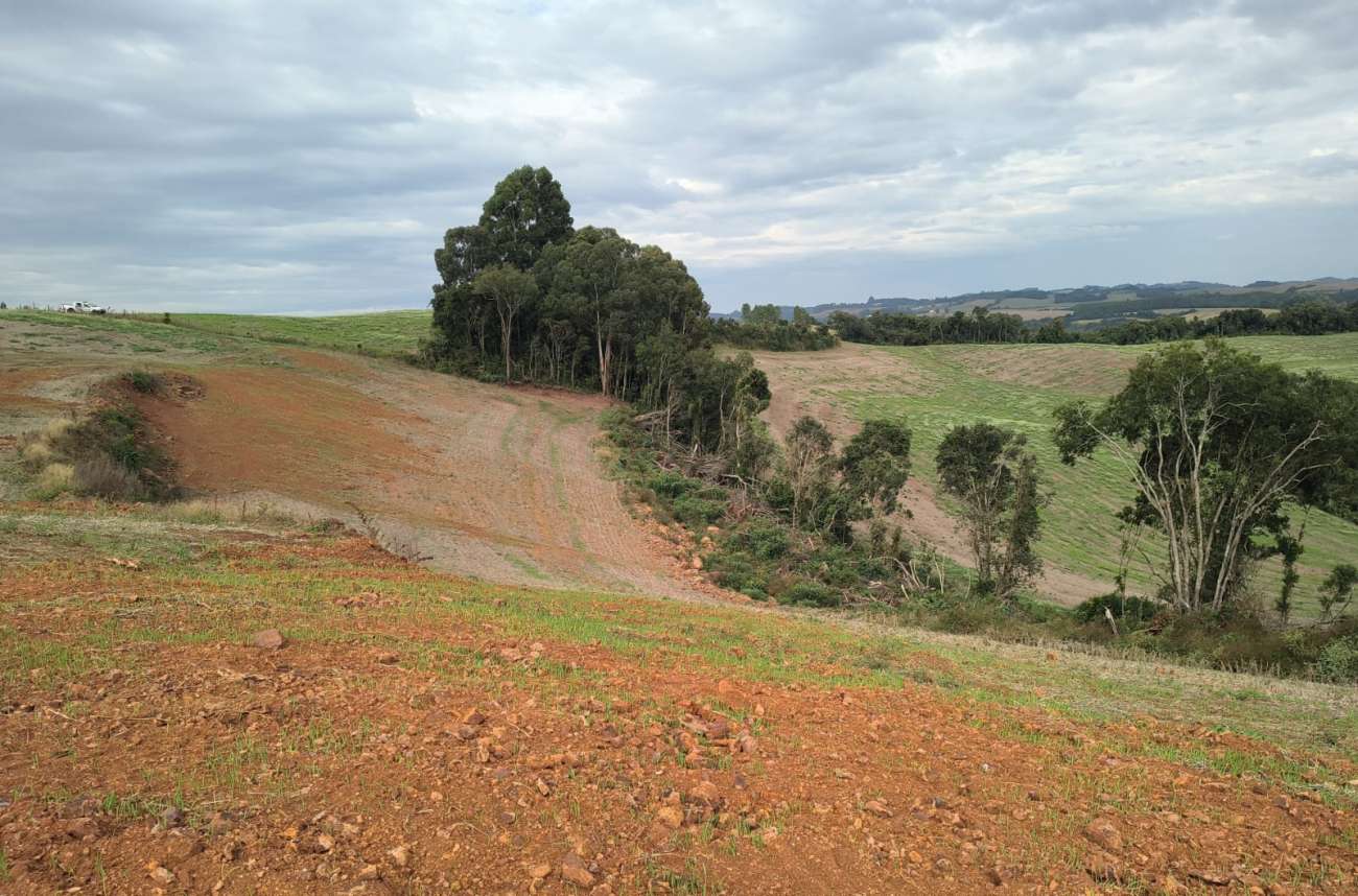 Desmatamento ilegal é constatado em Ibiraiaras