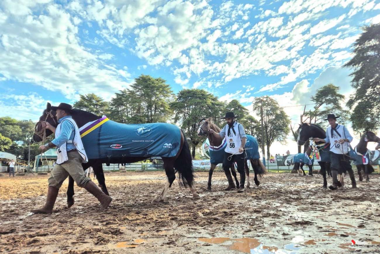 “Encerramos com a certeza do dever cumprido”, avalia coordenador do Espaço Cavalo Crioulo na Expo Tapejara 2026
