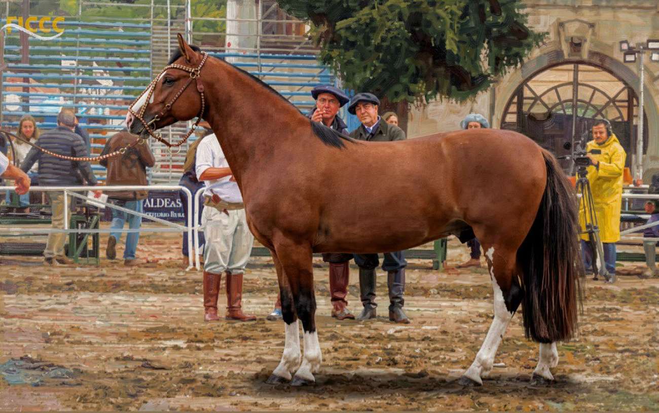 Cavalo de cabanha tapejarense conquista prêmio no principal evento internacional da raça Crioula