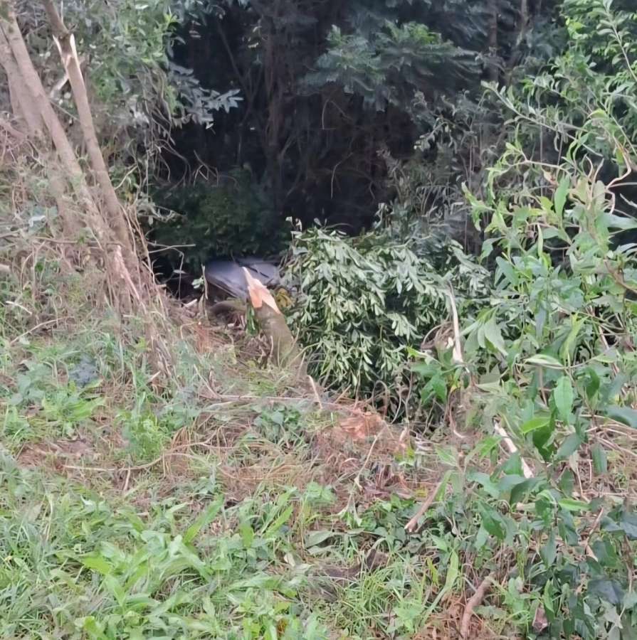 Capotamento deixa quatro feridos na ERS-135, em Sertão