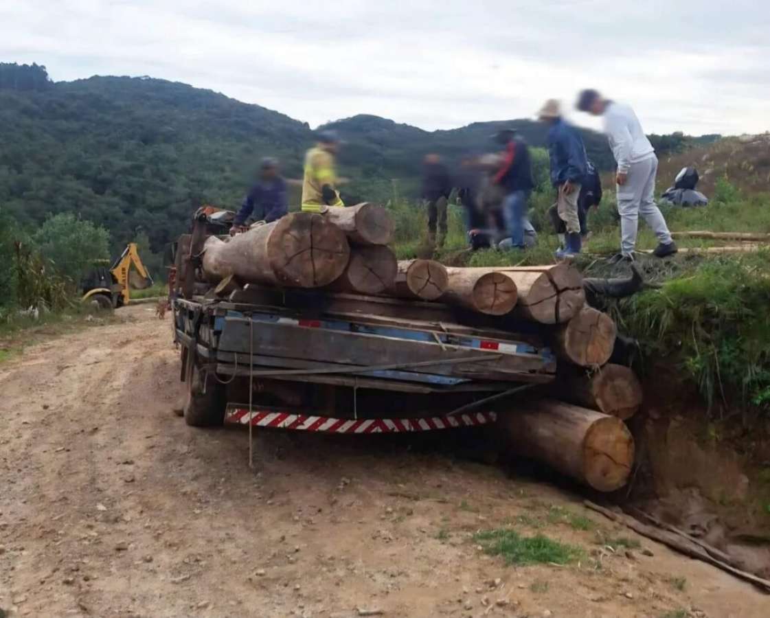 Trabalhador morre após ser atingido por carga de toras em Fontoura Xavier
