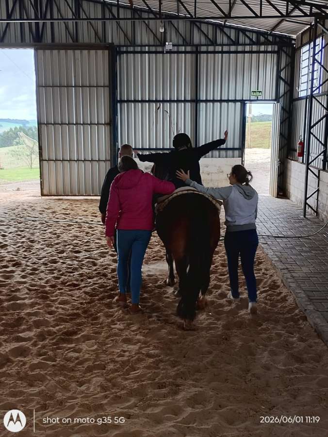 Equoterapia transforma vidas e fortalece inclusão em Água Santa