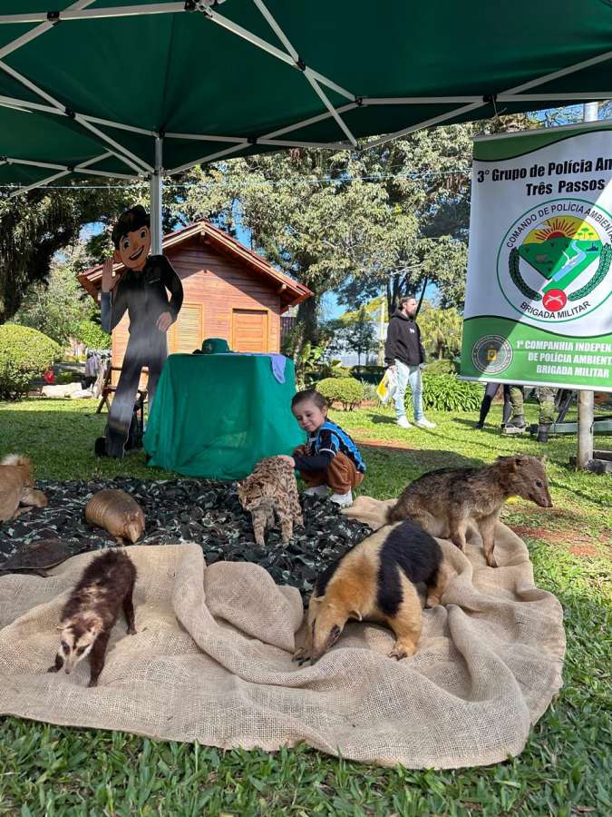Brigada Militar participa de ação alusiva ao Dia Mundial do Meio Ambiente em Três Passos