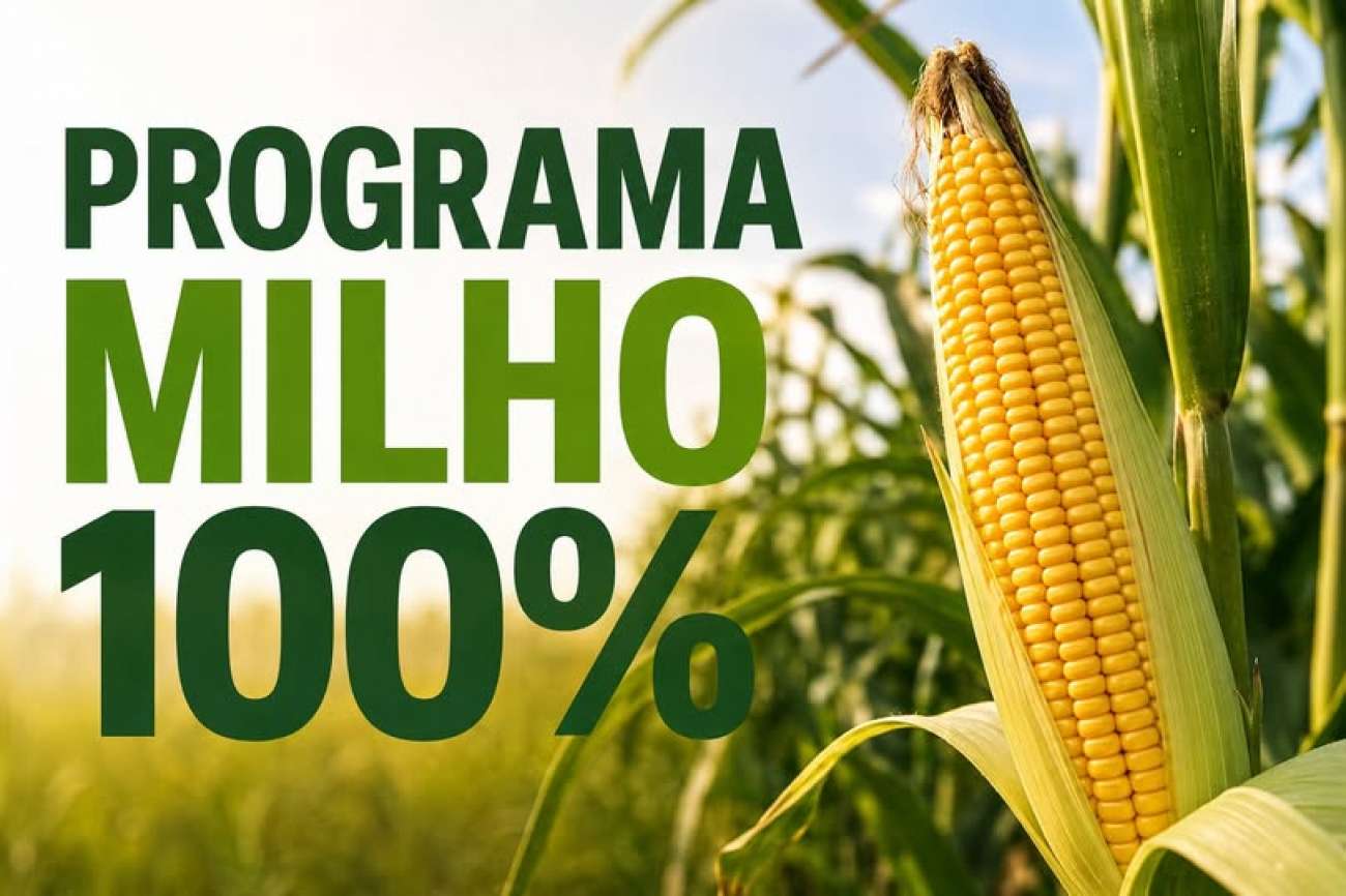 Tapejara abre período de reservas do Programa Milho 100% para safra 2026/27