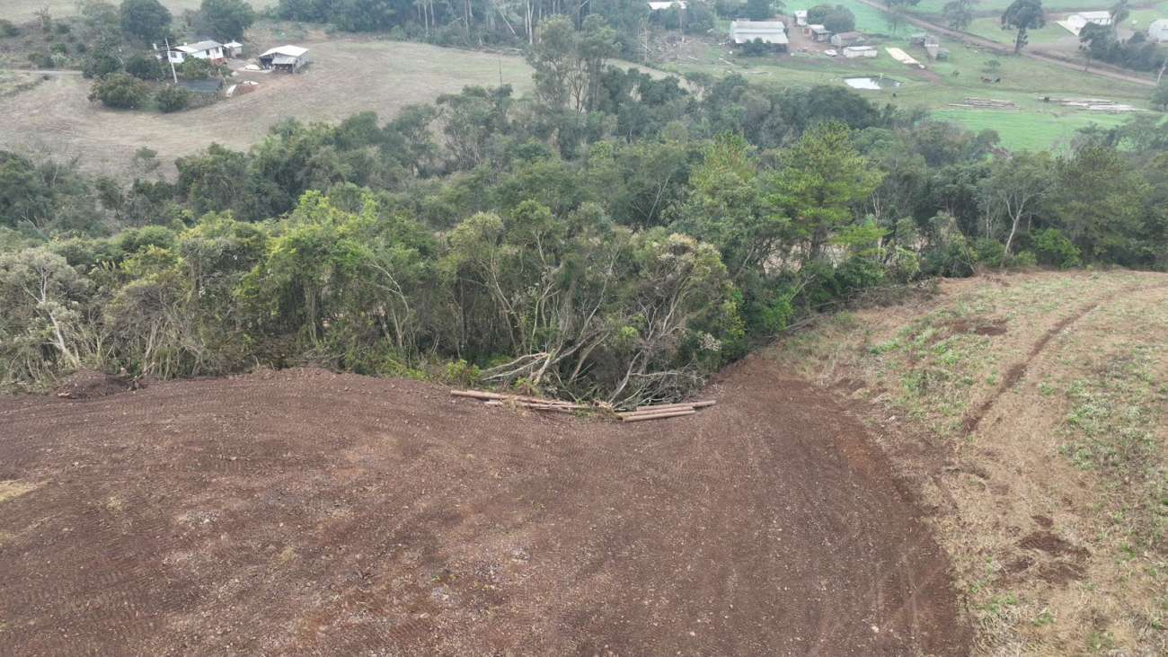 Brigada Militar flagra desmatamentos no município de Marau