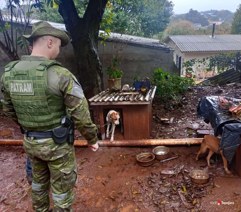 Brigada Militar prende mulher por maus-tratos a cães em Cruz Alta