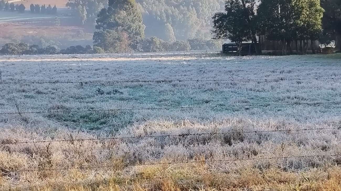 Getúlio Vargas registra uma das menores temperaturas do Rio Grande do Sul durante forte onda de frio