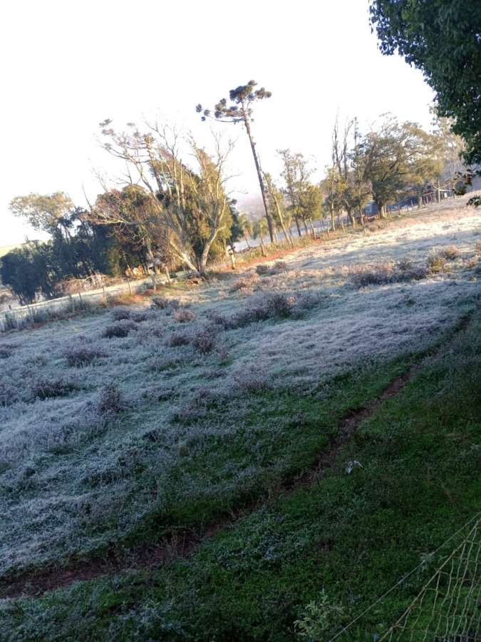 Com -4,8ºC, RS registra dia mais frio do ano nesta quinta-feira