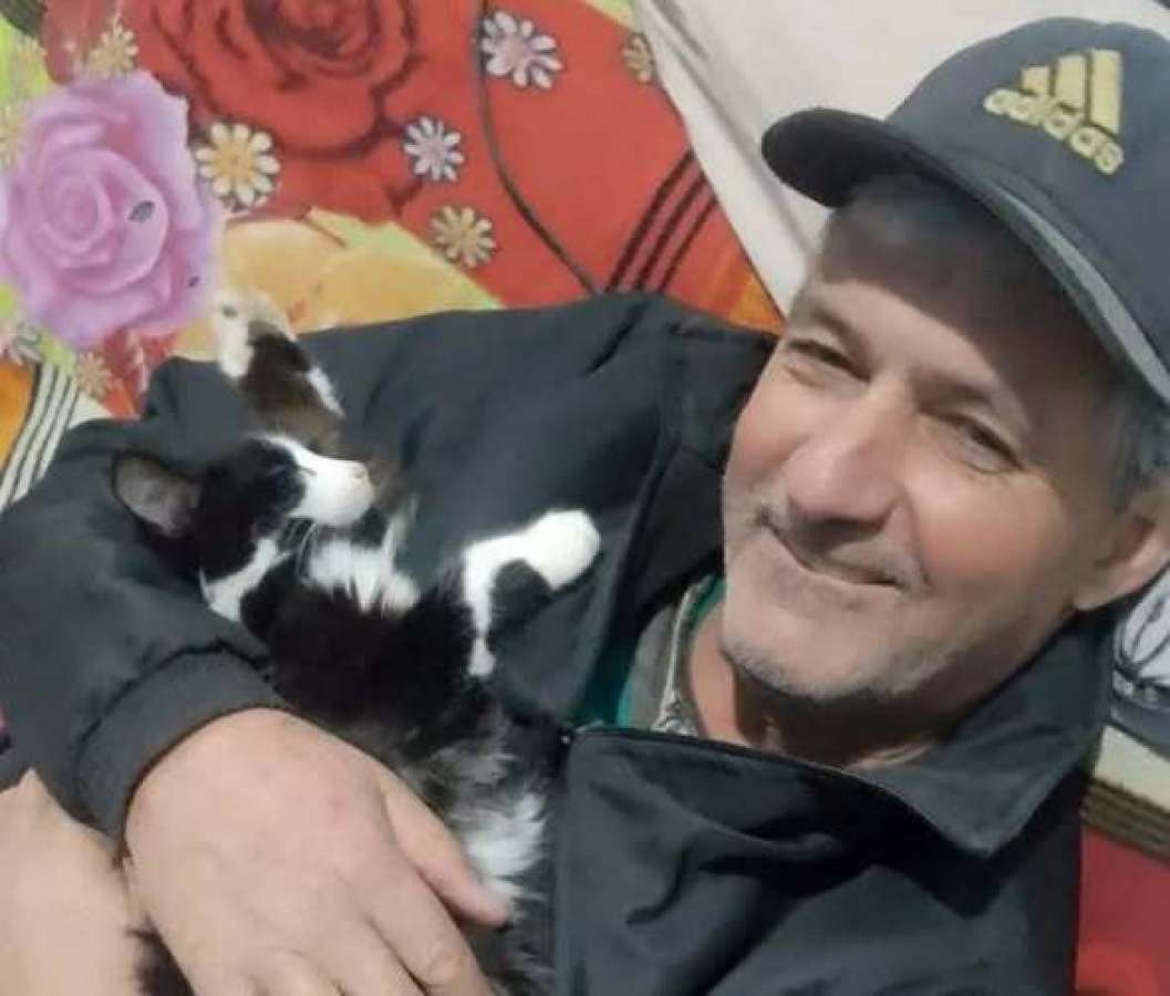 Agricultor morre esmagado por eucalipto enquanto cortava lenha no RS