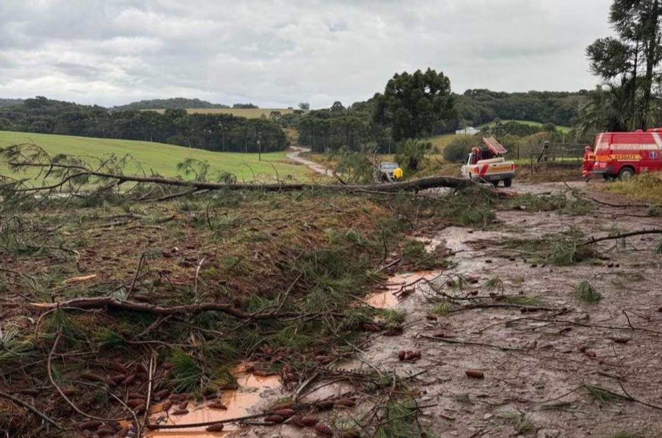 Temporal provoca destelhamentos, derruba árvores e destrói silo no interior de São José do Ouro