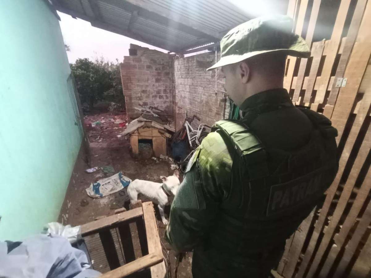 Brigada Militar prende homem por maus-tratos a animais em Cruz Alta