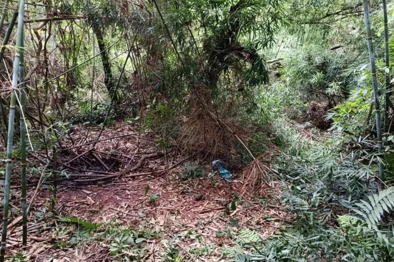 Moradora encontra ossada que pode ser de homem desaparecido há quase quatro anos, em Tapera
