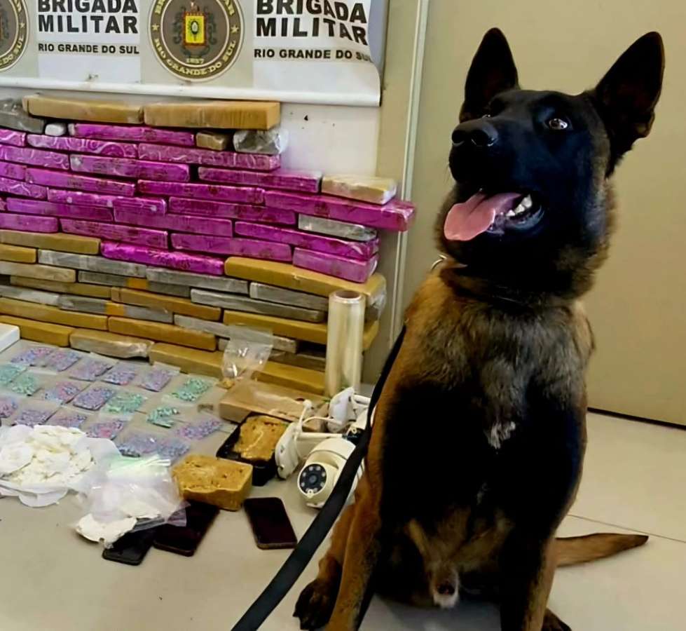 Ação do 3º BPChq apreende mais de 50 kg de drogas em Passo Fundo
