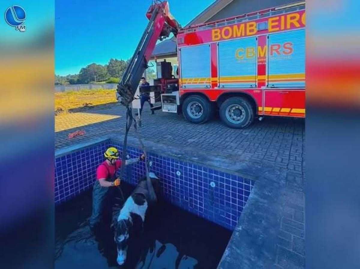 Bombeiros resgatam cavalo que caiu em piscina desativada em Vacaria