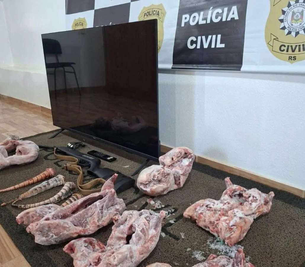 Polícia Civil recupera televisão furtada e apreende carne de animais silvestres em Erebango