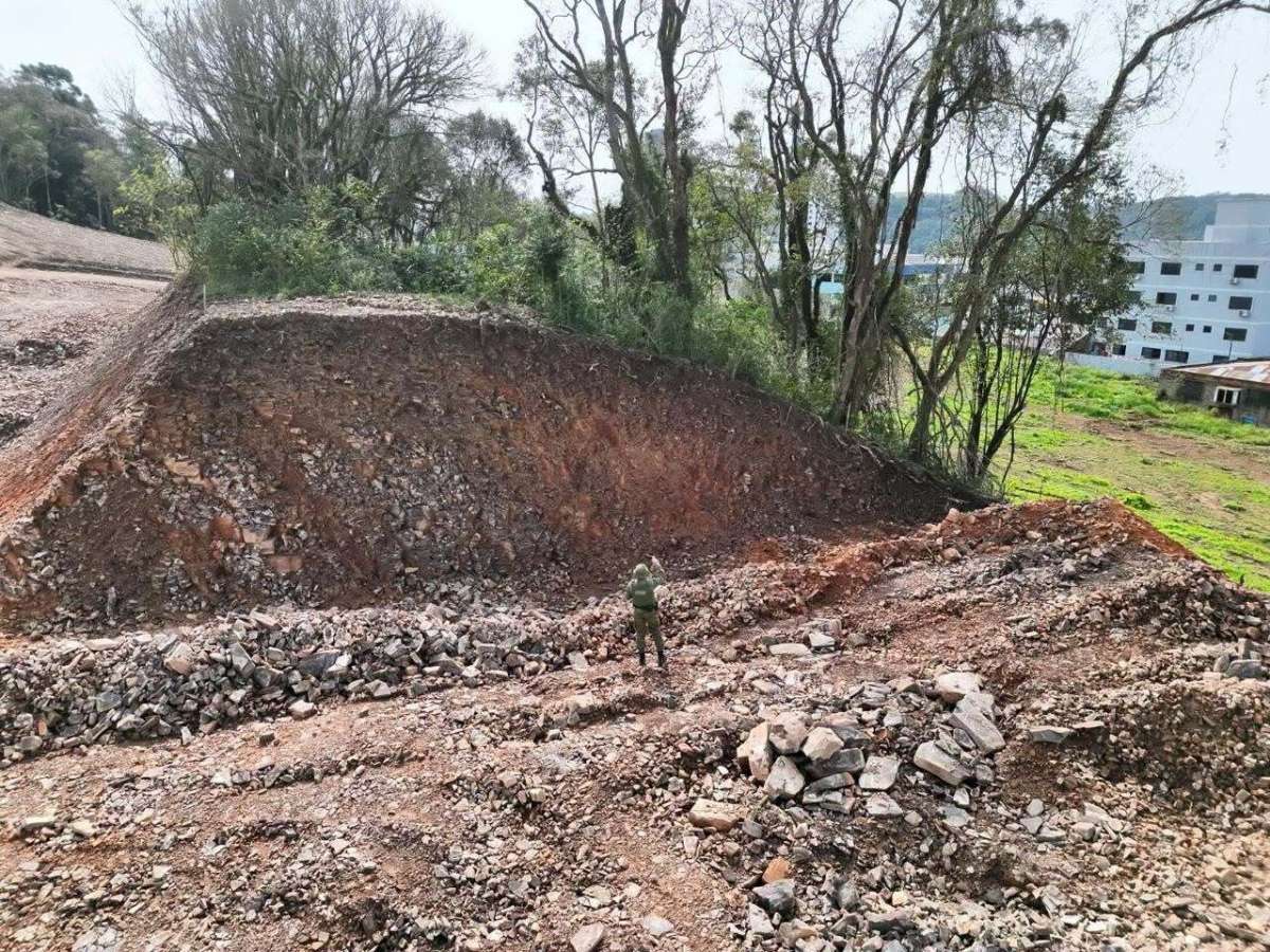 Flagrante de supressão de vegetação nativa em Marau