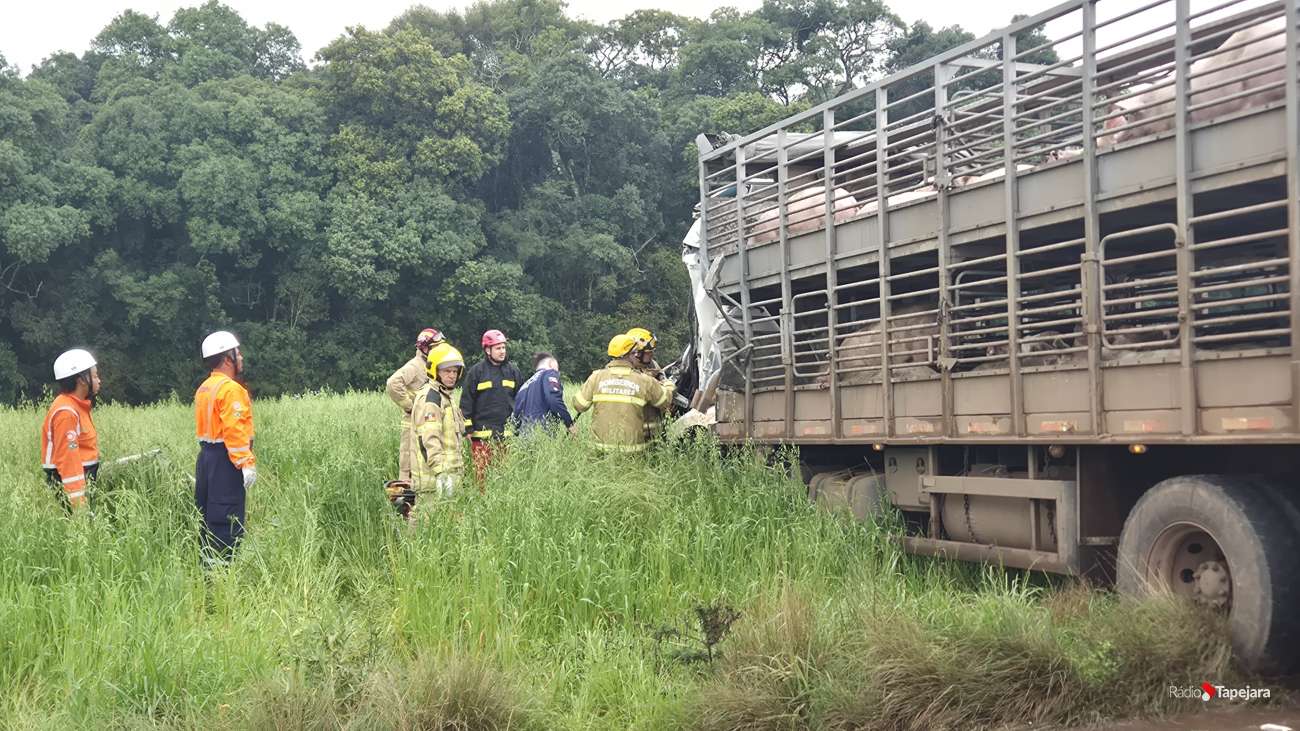 Caminhão de suínos é atingido por bitrem, e condutor morre na ERS-463, em Vila Lângaro