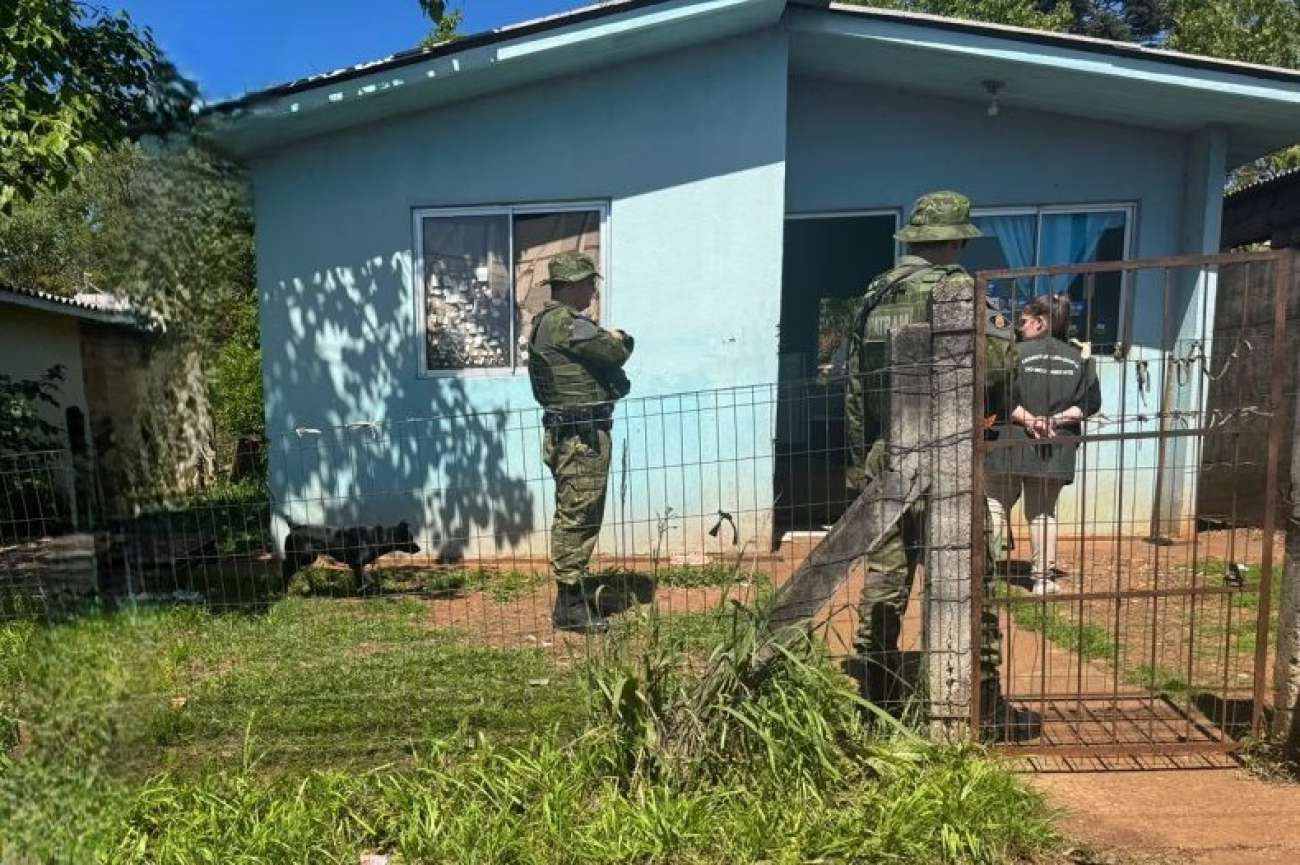 Cão é encontrado morto e outros três são resgatados em caso de maus-tratos, em Passo Fundo