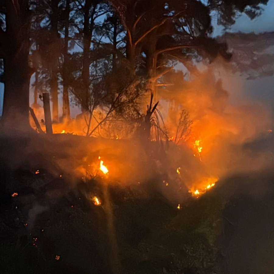 Incêndio em vegetação dificulta visibilidade na ERS-135, entre Passo Fundo e Coxilha
