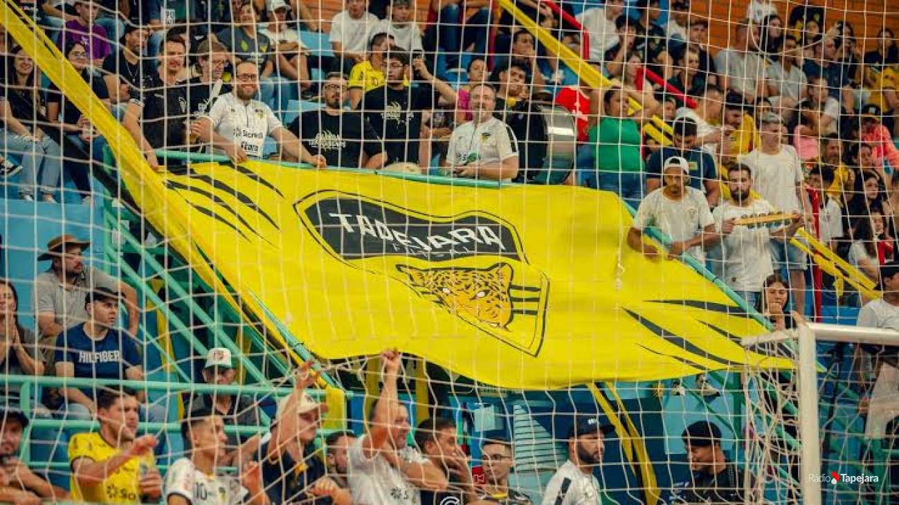 Lei de incentivo ao esporte: com projeto aprovado, Tapejara Futsal anuncia nova alternativa para apoiar seus projetos
