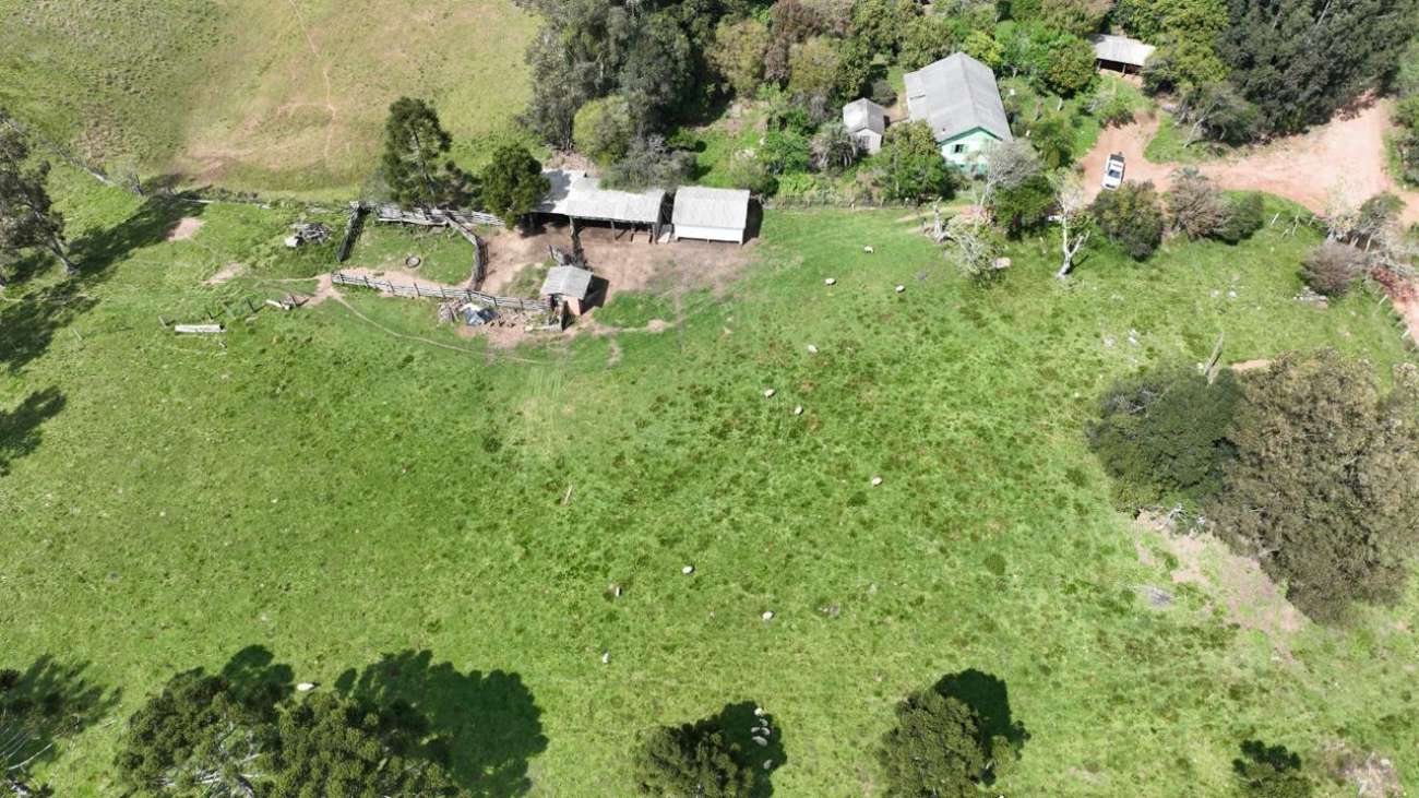 Policiais Militares inspecionam área rural após possível avistamento de onça-parda em Fontoura Xavier