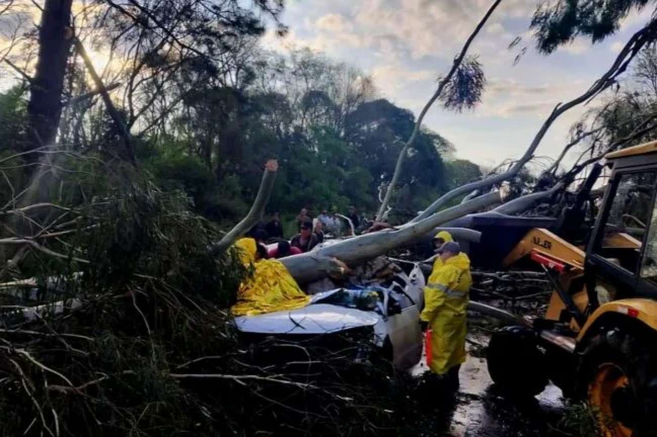 Árvore cai sobre carro durante temporal e deixa duas pessoas feridas na ERS-324