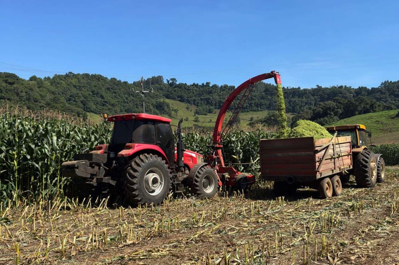 Produtores de Ibiaçá têm até sexta-feira para pagar benefícios do Programa de Incentivo à Silagem