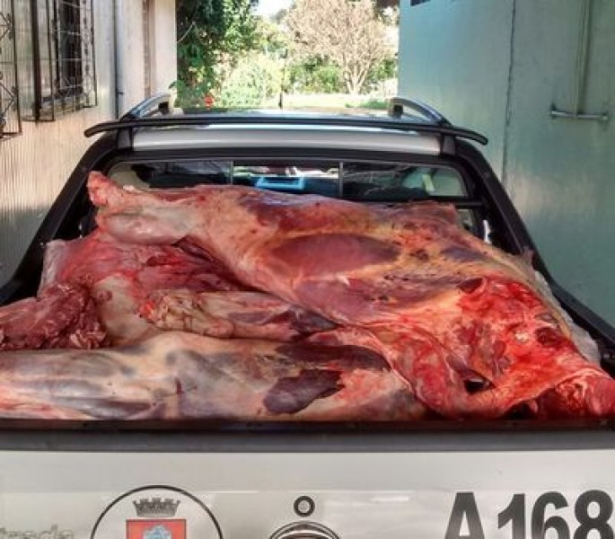 Operação apreende mais de meia tonelada de carne em supermercado de Erechim