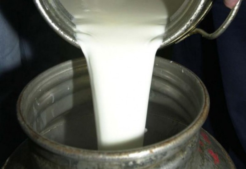 Empresas atrasam pagamentos para 5 mil produtores de leite do Rio Grande do Sul