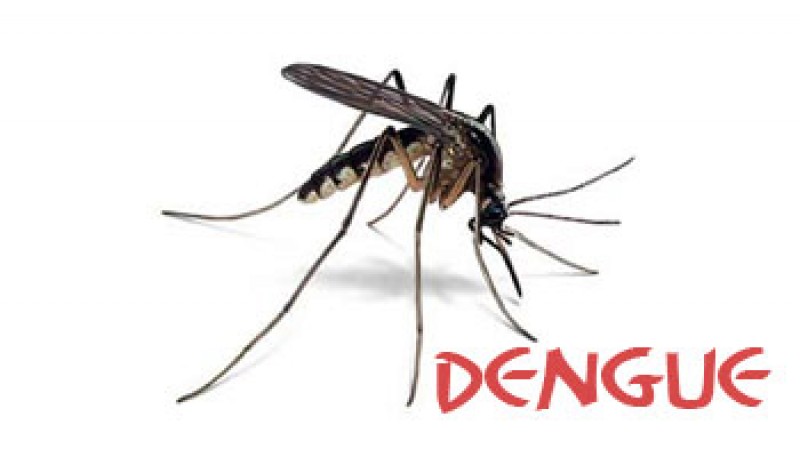 Rio Grande do Sul confirma os primeiros casos de dengue de 2017